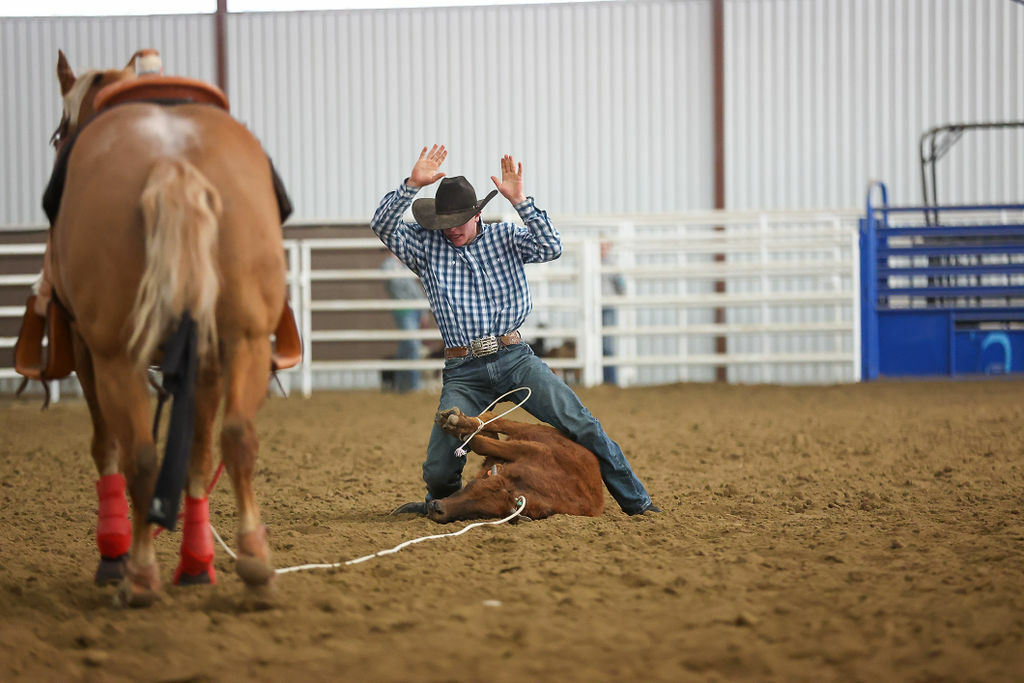 Calf roper completing run